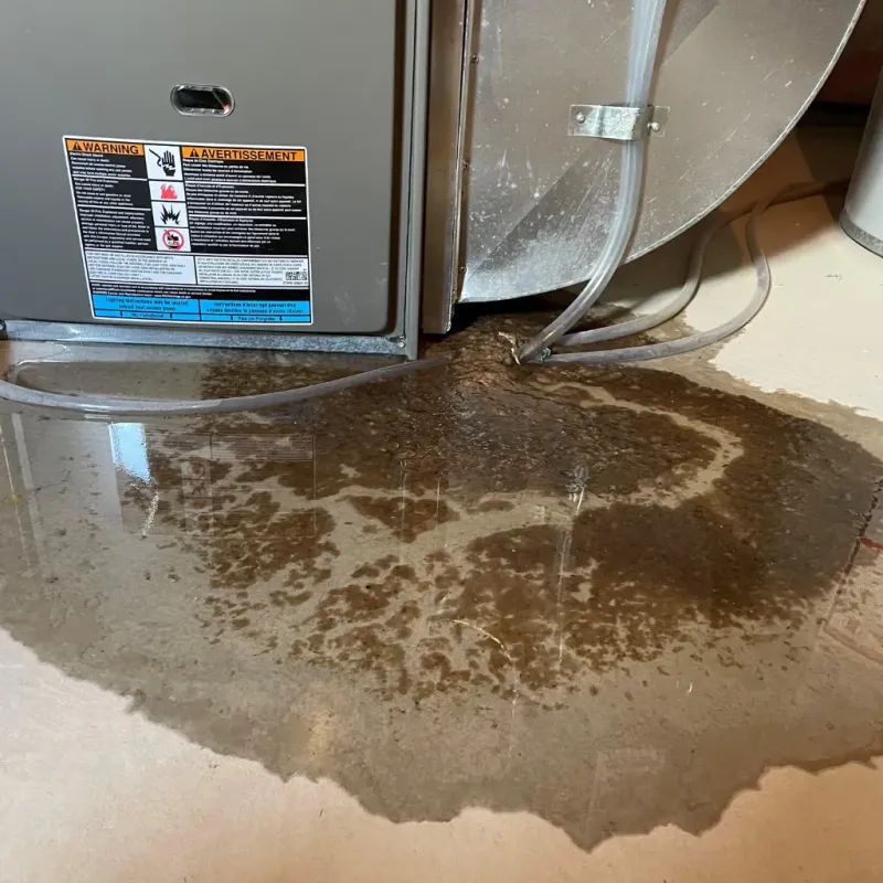 Appliance Leak Cleanup in Jonesboro, IN