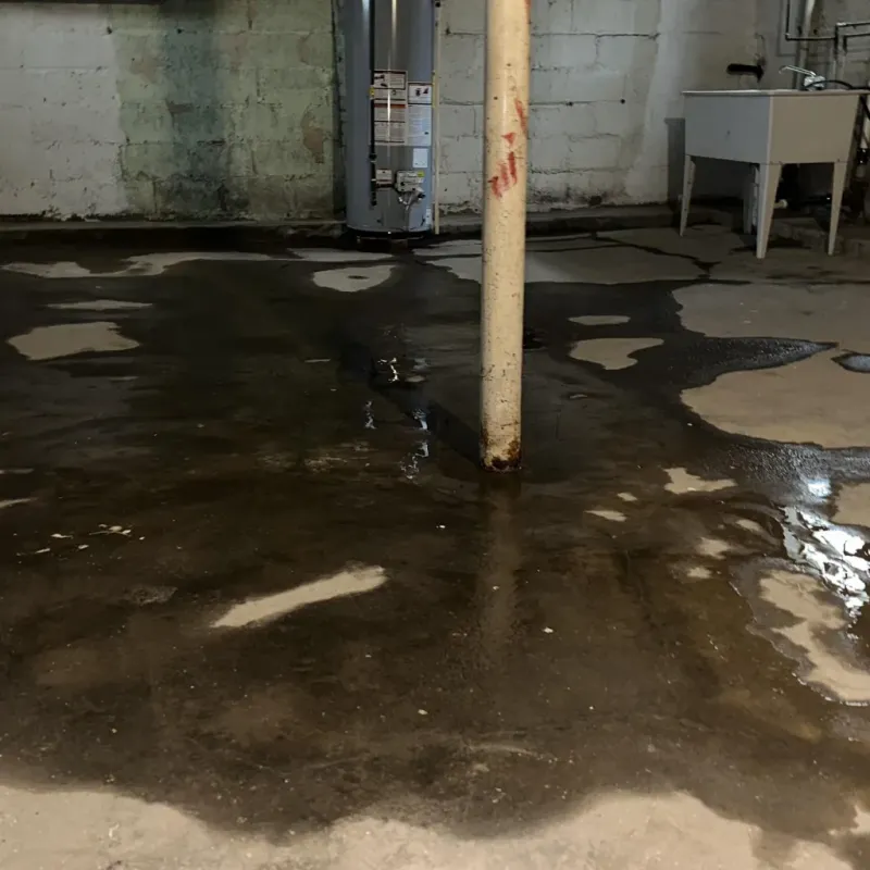 Emergency Water Extraction And Removal in Jonesboro, IN